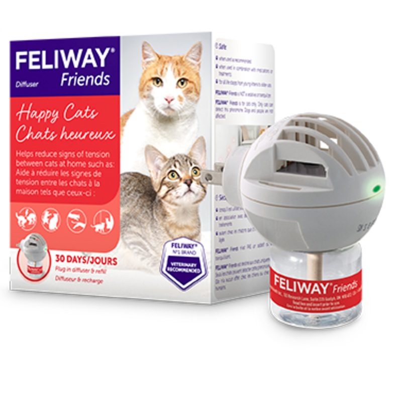 Feliway Friends