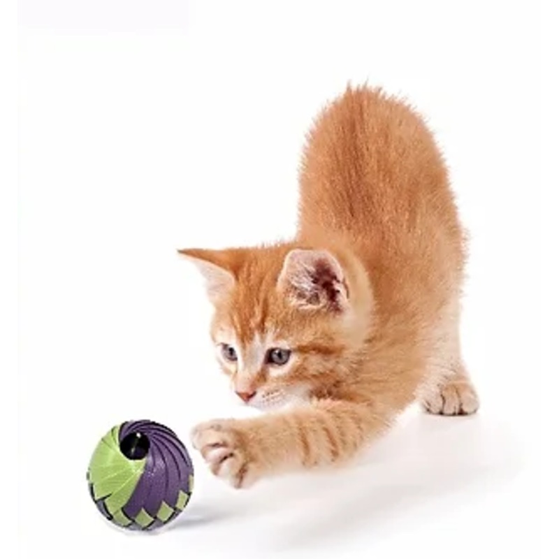 Roli Cat Treat Ball by Goli Design