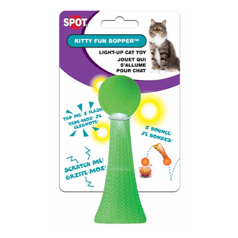 SPOT Kitty Fun