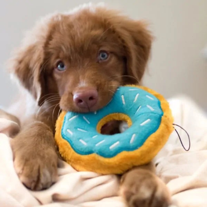 Zippy Paws - Donutz