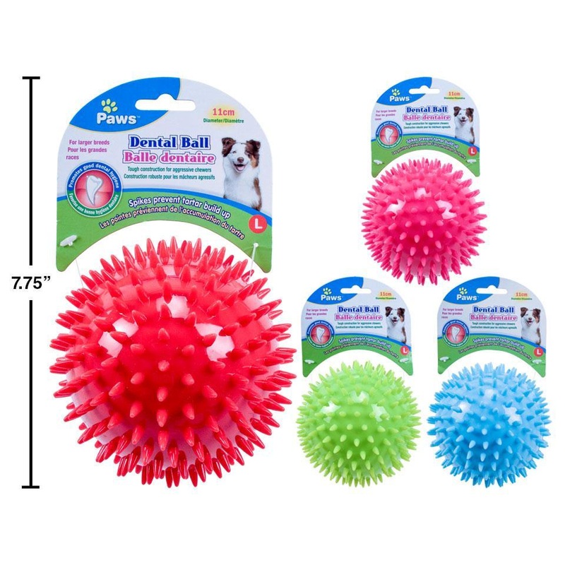 PAWS - Dental Ball/Balle dentaire