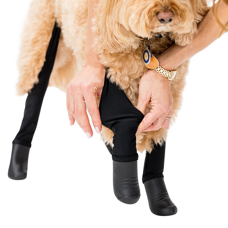 Walkee Paws - Deluxe Dog Boot Leggings/Leggings pour chien de luxe