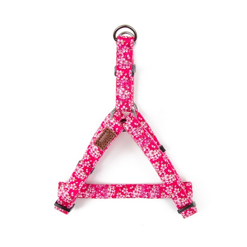 Great & Small Penrose Blossom Harness Pink
