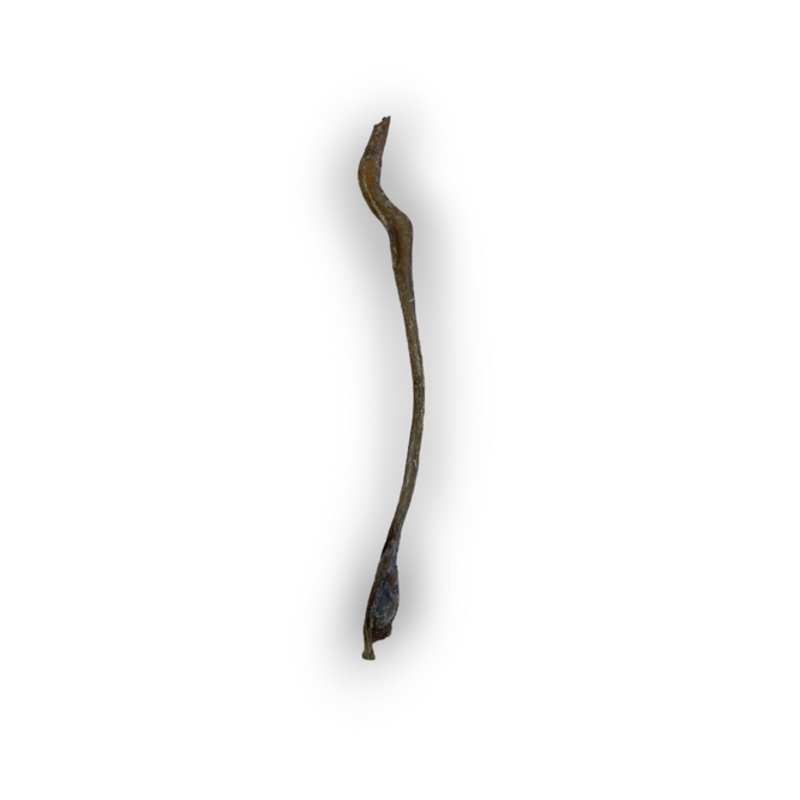 Anco Naturals Goat Pizzle 1pc