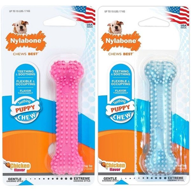 Nylabone Puppy Teething Dental Chew - Chicken