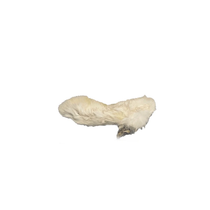 The Pet Bistro - Hairy Rabbit Feet (Single)