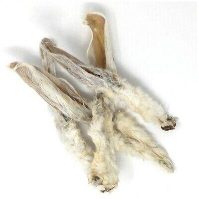 The Pet Bistro - Hairy Rabbit Ears