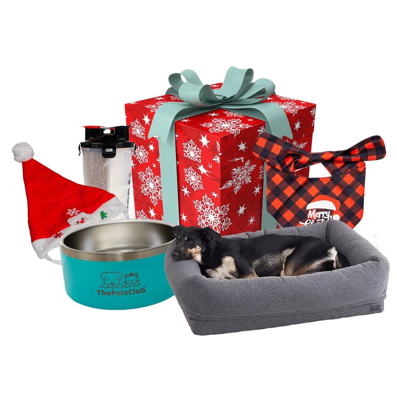 Santa Claws Holiday Dog Box - Medium