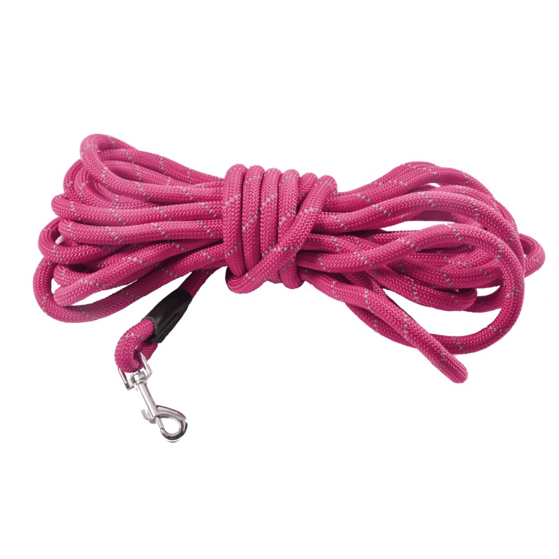 Bobby Leash 10M Walk