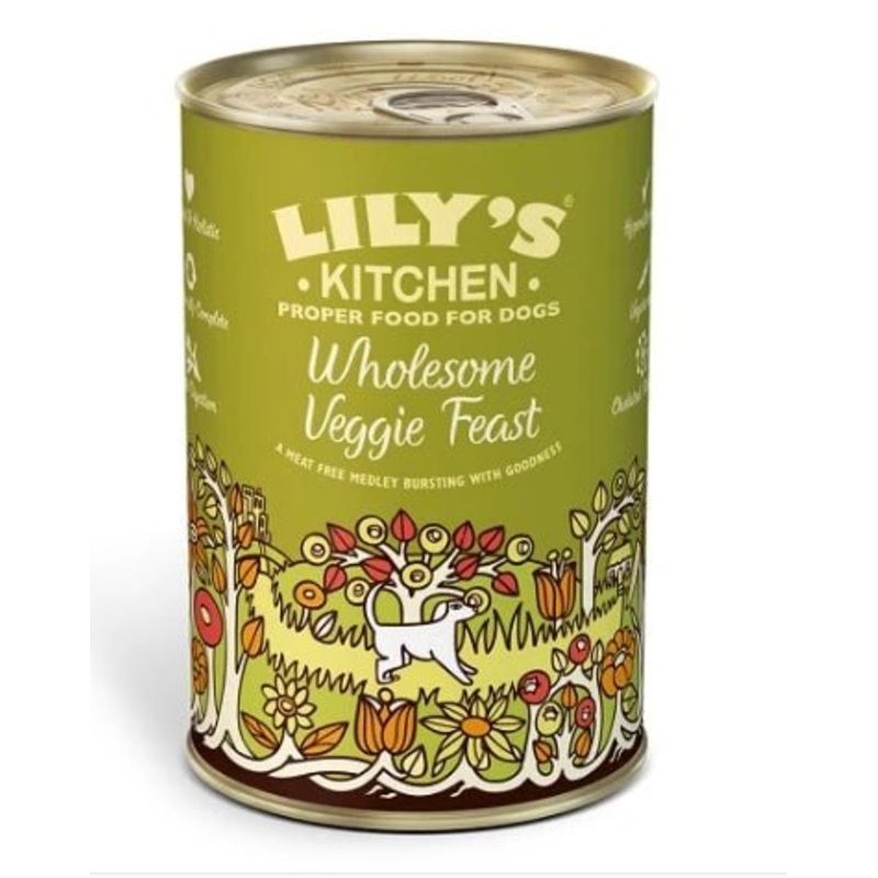 Lily's Kitchen Wholesome Veggie Feast Wet Dog Food Box - 6x375g