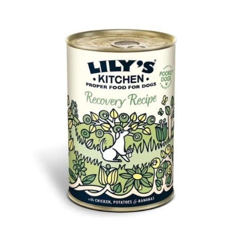 Lily's Kitchen Recovery Recipe Wet Dog Food Box - 6x400g