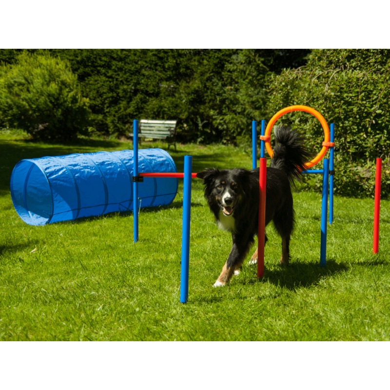 Procyon Agility Set K2