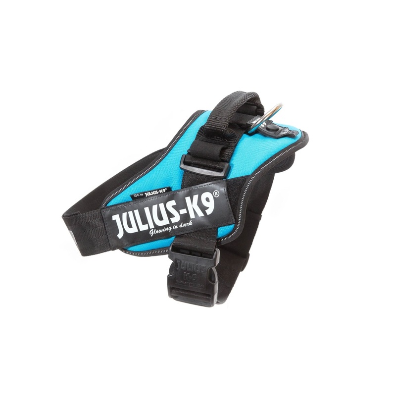 Julius-K9 Idc Powerharness - Aquamarine / Size 1