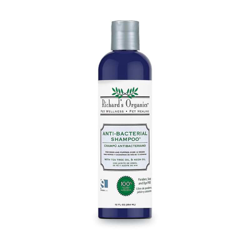 Synergy Lab Anti-Bacterial Shampoo - 354ml