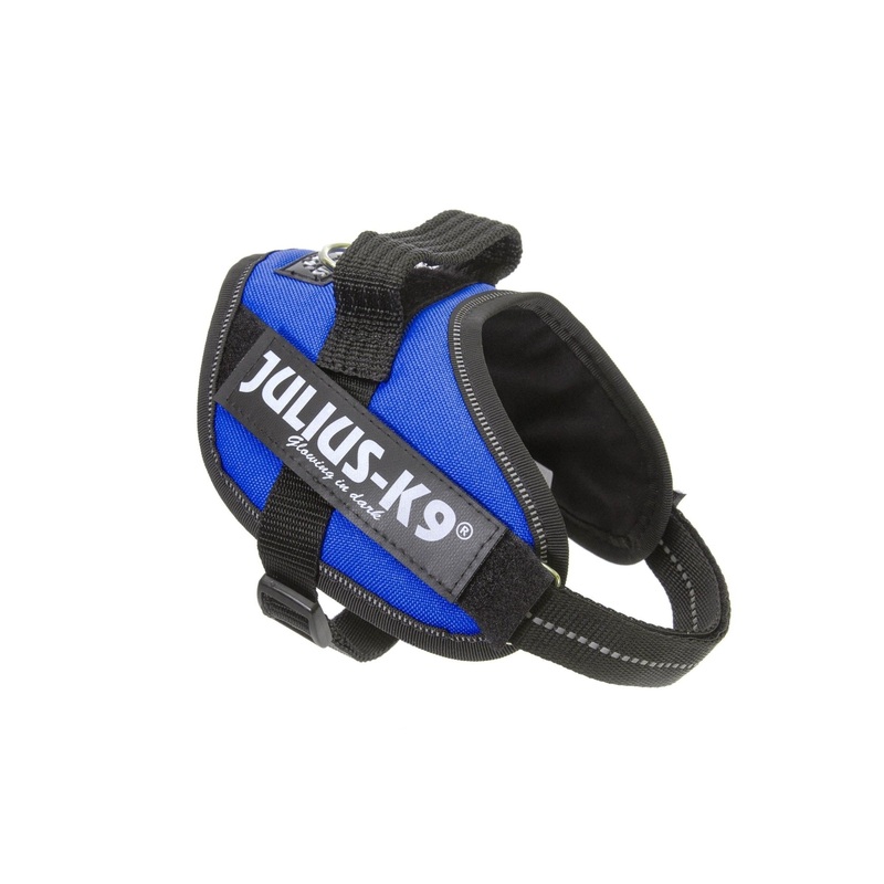 Julius-K9 Idc Powerharness - Aquamarine / Size 0
