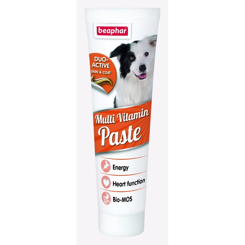 Beaphar Duo Active Paste Multivitamin Dog - 100g