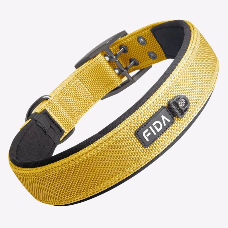 Fida Heavy Duty Dog Collar  Yellow