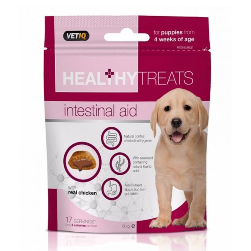 Healthy Treats Healthy Treats Intestinal Aid for Puppies-70G