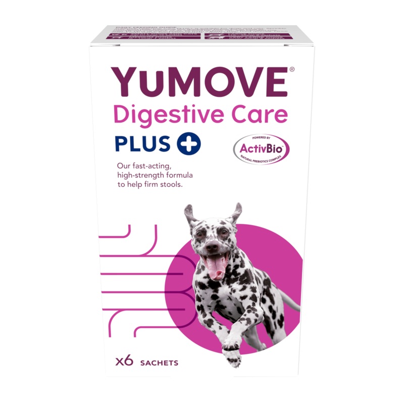 Lintbells YuMOVE Digestive Care Plus 6 sachets