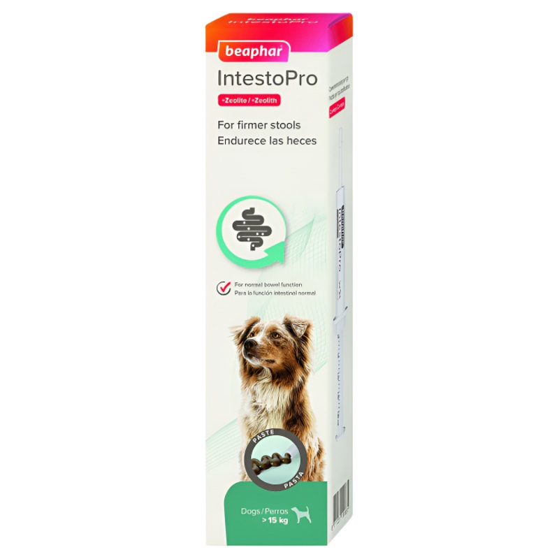 Beaphar IntestoPro Anti Diarrhea Paste Syringe Large Dog - 2x20ml