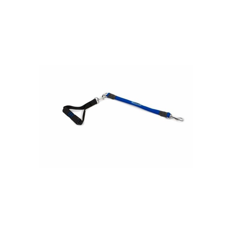 Bergan Ez Step Stretch Leash