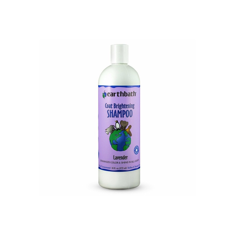 earthbath Coat Brightening Shampoo, Lavender, Enhances Color & Shine in All Coats - 16oz