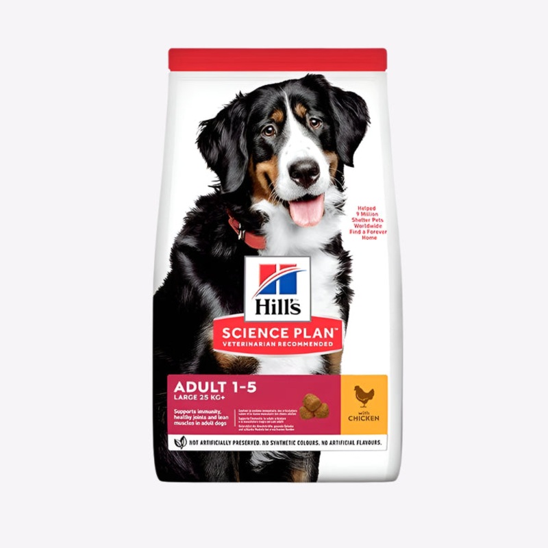 Hills Science Plan Large Breed Adult Dog Food With Chicken Dry Food