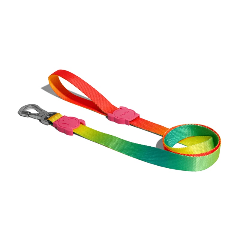 Zee Dog Citrus Leash for Dog