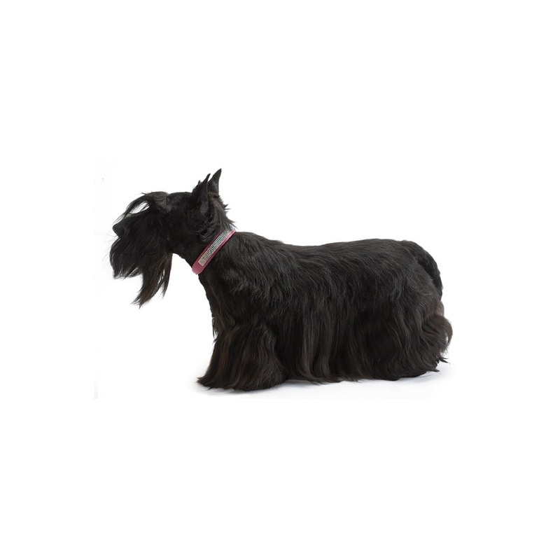 Bobby Crystal Princesse Collar - Pink / 40 Cm