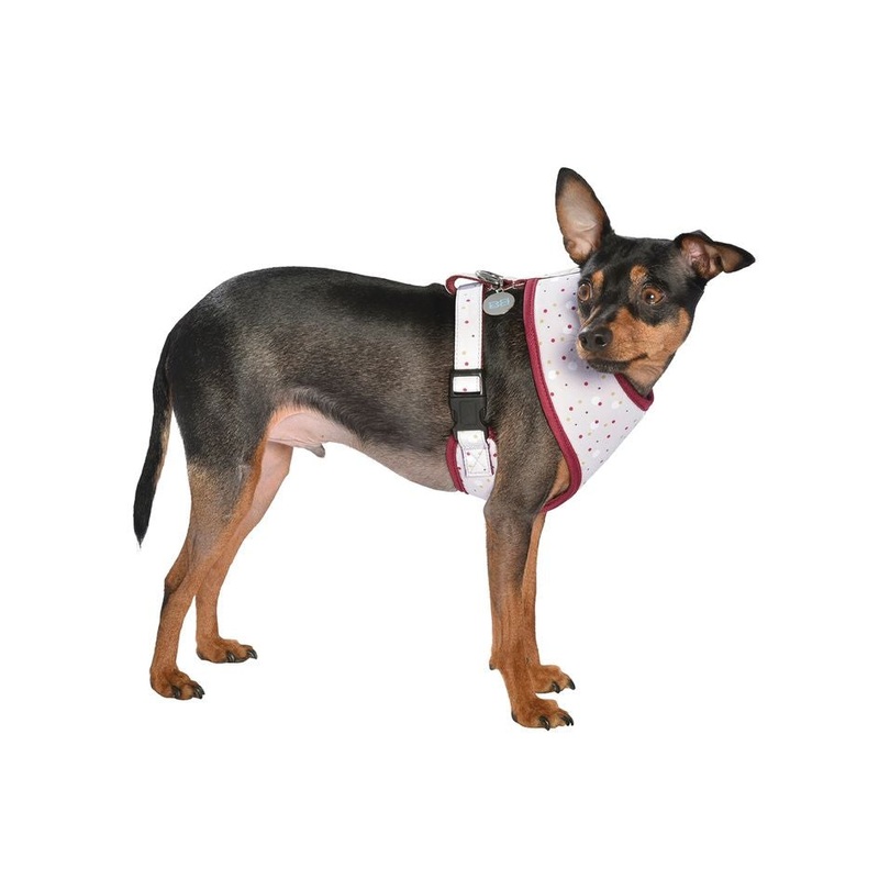 Bobby Dots T-Shirt Harness - Beige / Xs