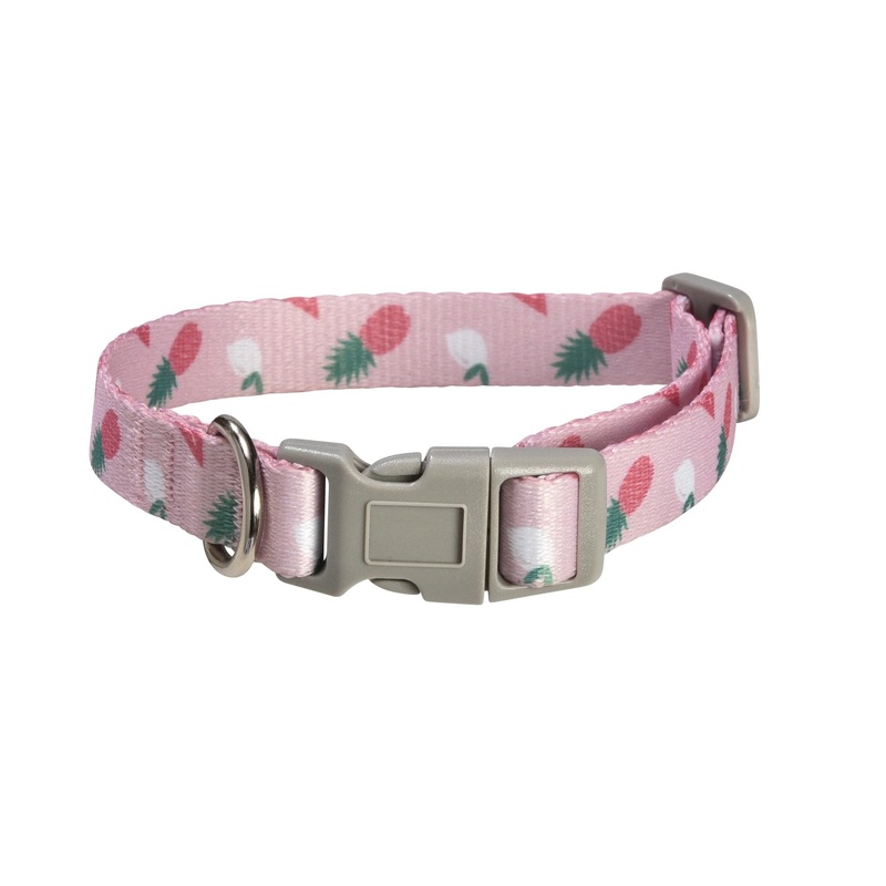 Bobby Juicy Dog Collar - Pink / Large