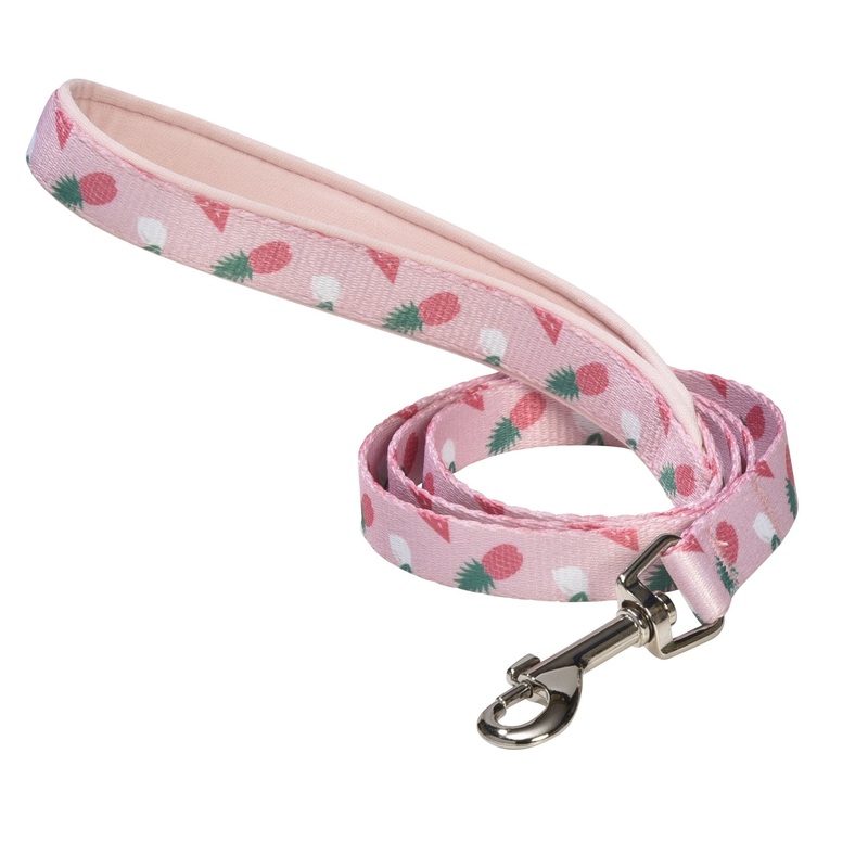 Bobby Juicy Leash - Pink / Large