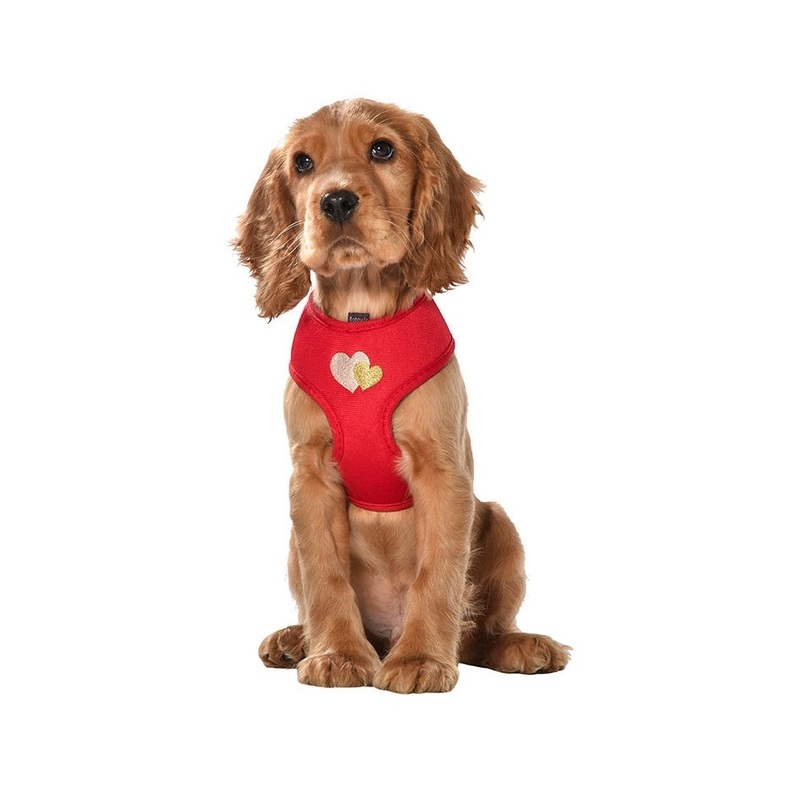 Bobby Lovely Harness T-Shirt - Red / Large