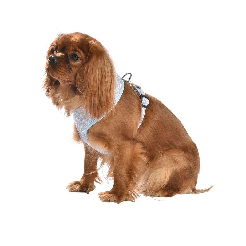 Bobby Spring T-Shirt Harness / Small