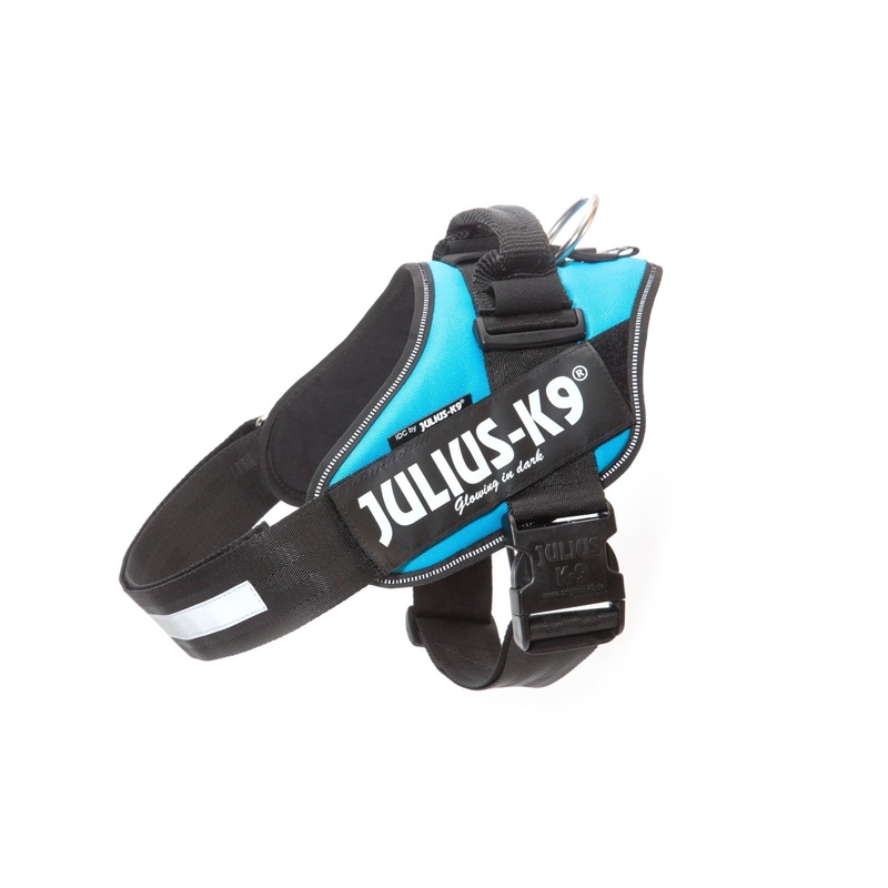 Julius-K9 Idc Powerharness - Aquamarine / Size 3