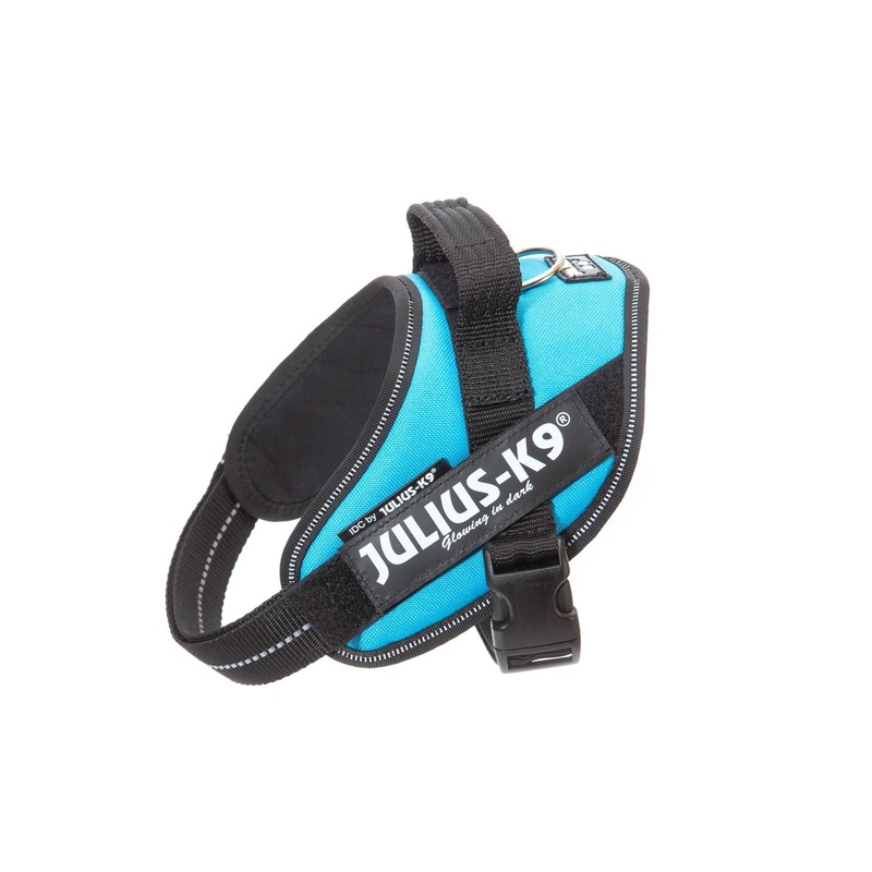 Julius-K9 Idc Powerharness - Aquamarine / Size Mini