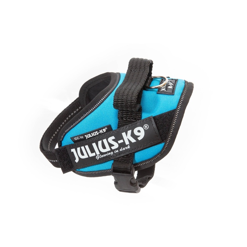 Julius-K9 Idc Powerharness - Aquamarine / Size Mini-Mini