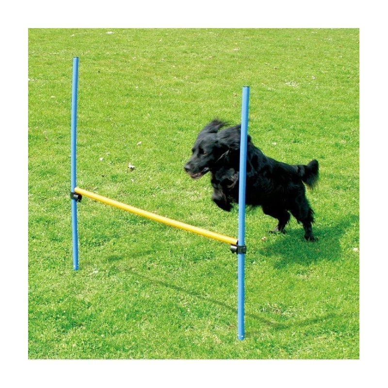 Pawpals Agility Dog Training Hurdle