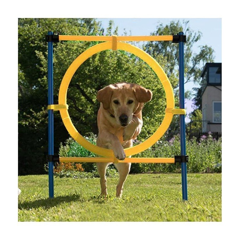 Pawpals Aglt Dog Training Ring