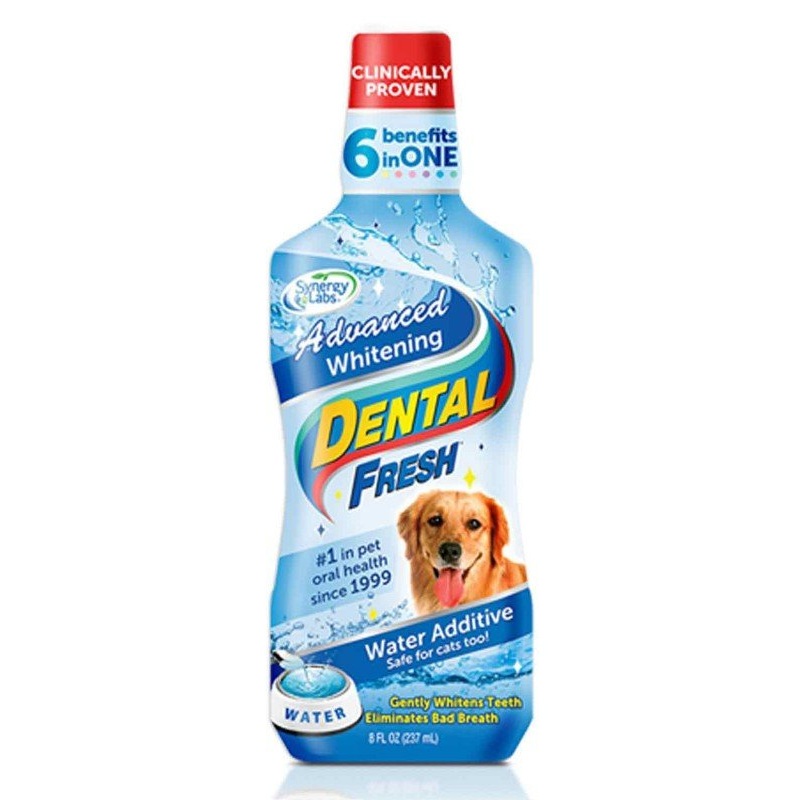 Synergy Labs Whitening Dental Fresh for Dog - 237ml