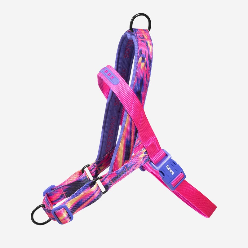 Error #500 | SofterWalk Harness
