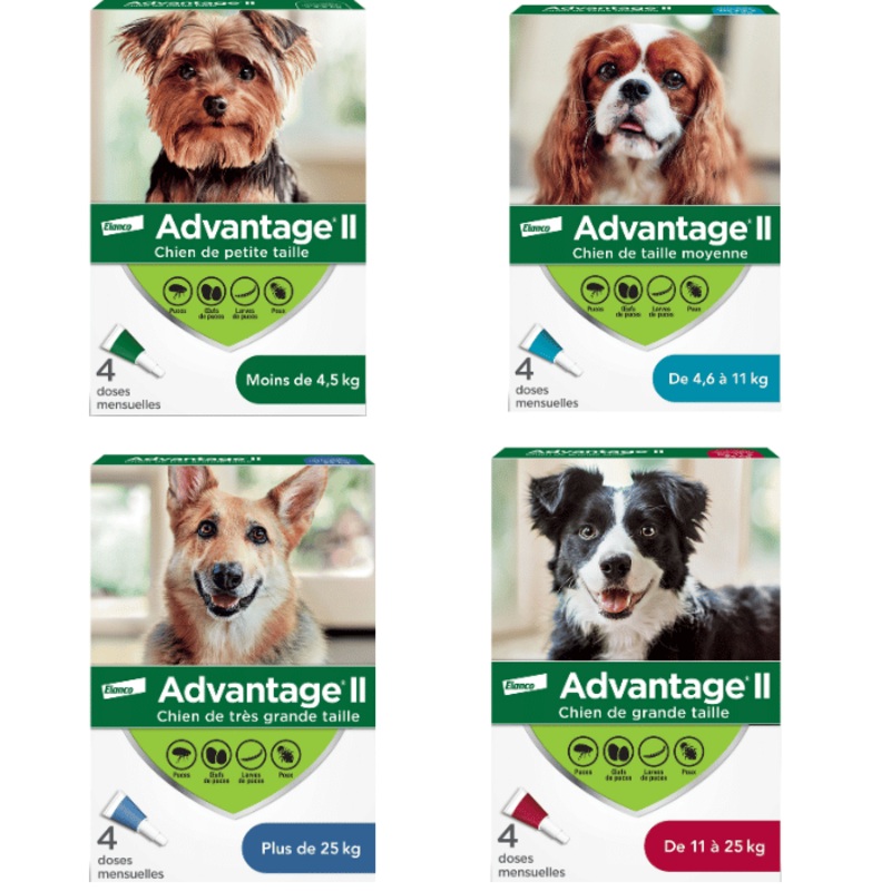 Advantage II protection contre les puces et poux pour chiens 4 doses