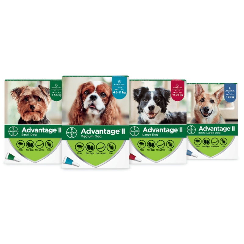 Advantage II protection contre les puces et poux pour chiens 6 doses