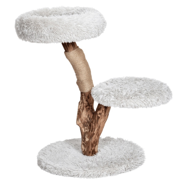 Arbre  Chat Savana