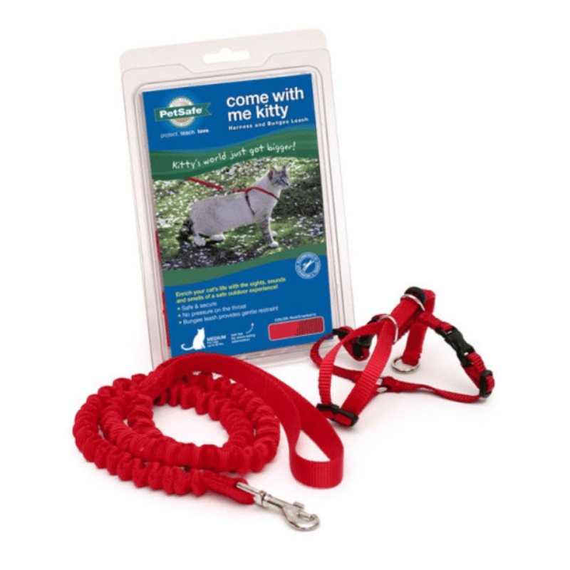 Come With Me Kitty Harnais Et Laisse Bungee Pour Chat