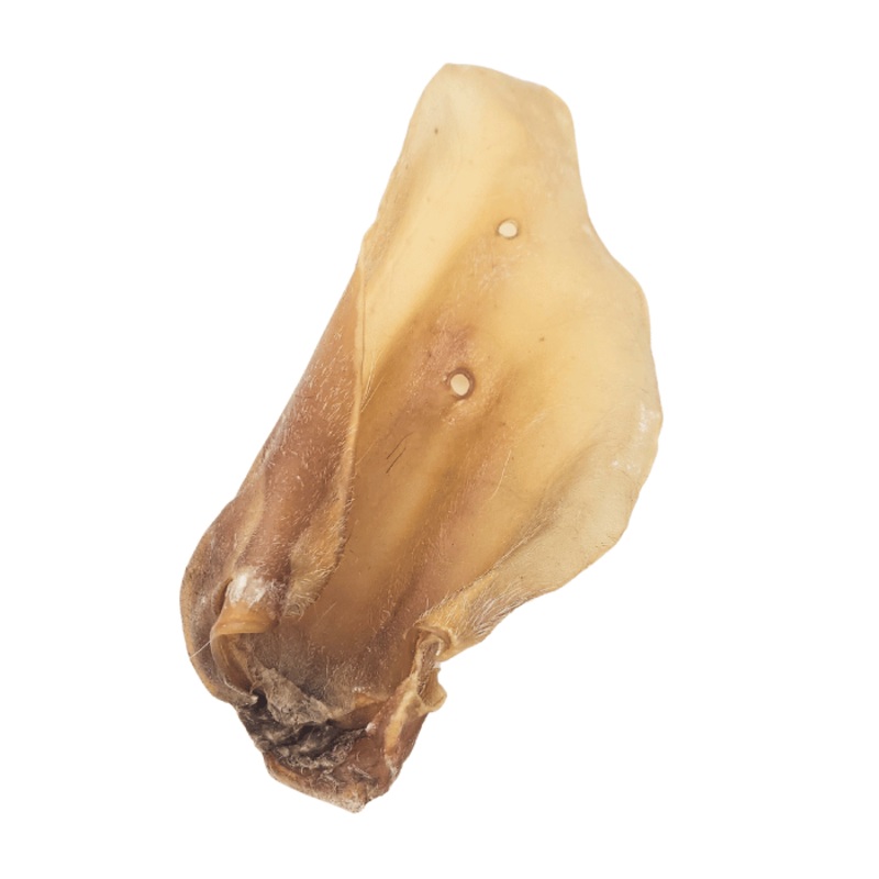Oreille de vache naturel