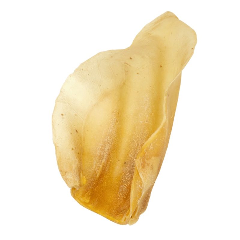 Oreille de vache naturel - XL