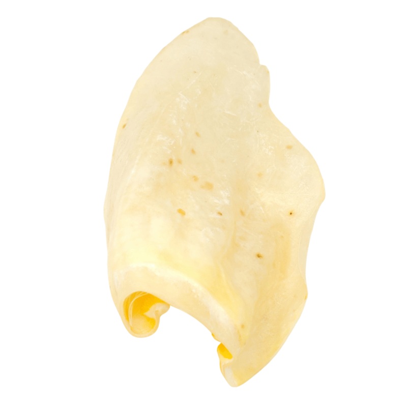 Oreille de vache XXL