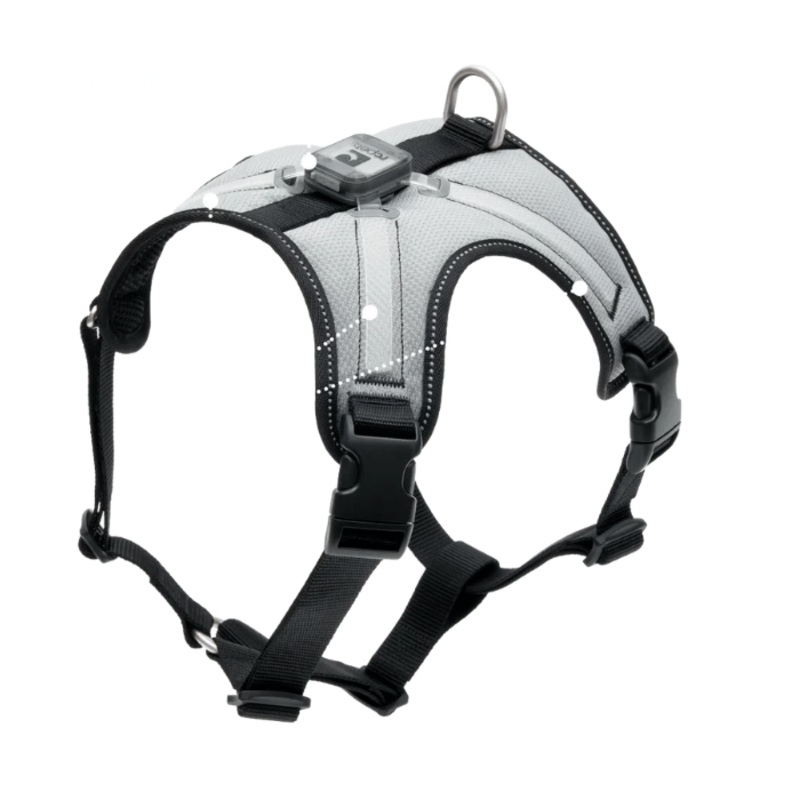 Harnais pour chien lumineux RC Pets Nova Led Light