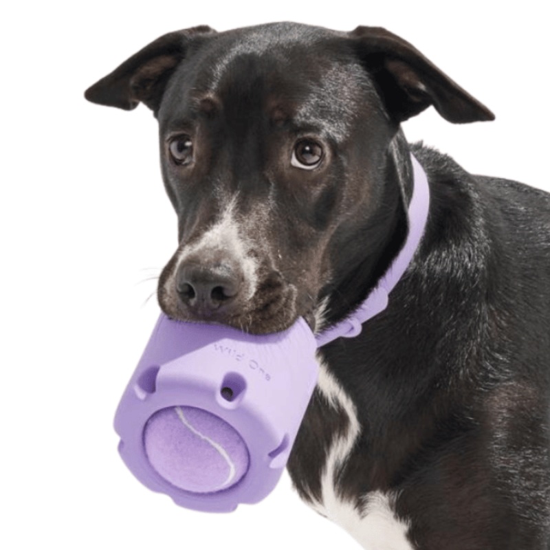 Jouet interactif pour chien Tennis Tumble